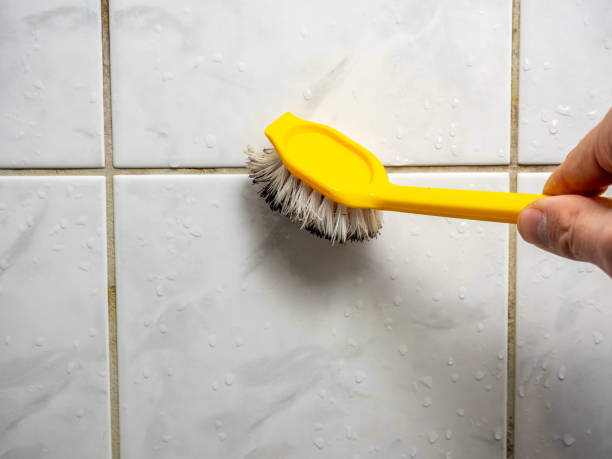 Best Office Mold Removal Services  in Exeter, CA