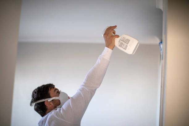 Best Home Mold Removal  in Exeter, CA