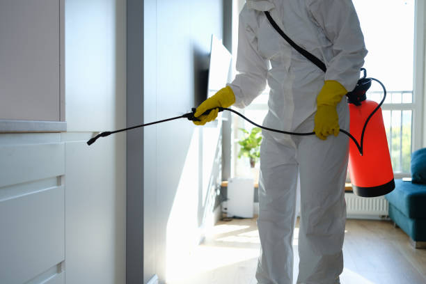 Best Certified Mold Removal  in Exeter, CA