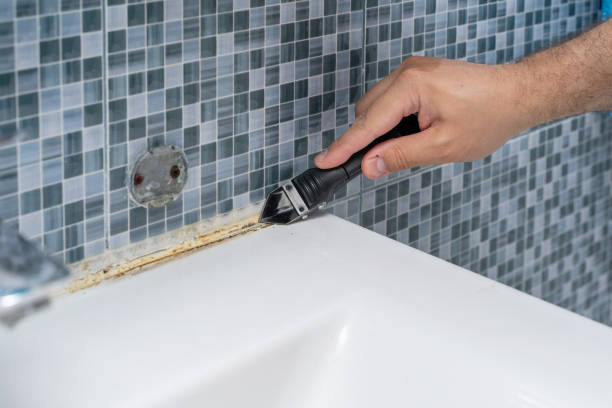 Home Mold Removal in Exeter, CA
