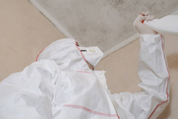 Best Mold Remediation Services  in Exeter, CA